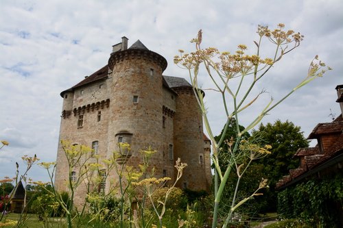 castle  flowers  yellow