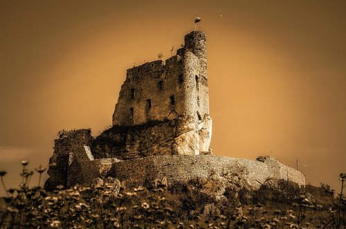 castle  mirow  the ruins of the
