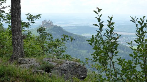 castle  landscape  nature