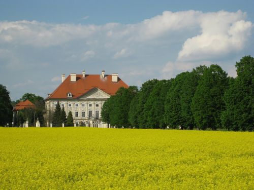 castle slovenia field of rapeseeds
