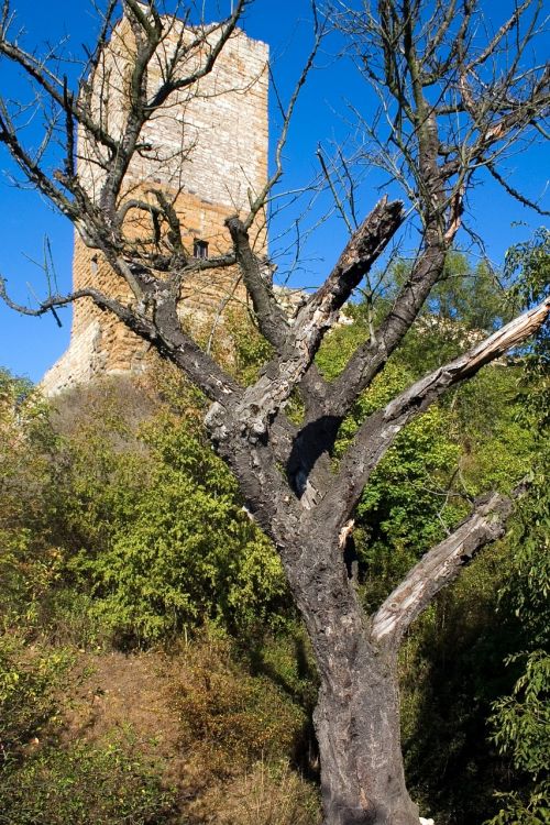 castle thuringia germany thuringian forest