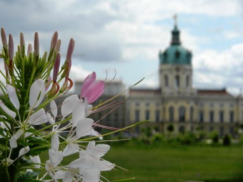 castle the palace sky