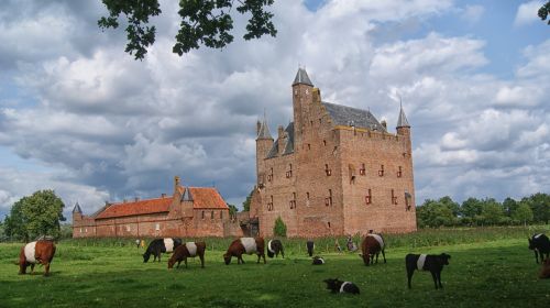 castle doornenburg castle history