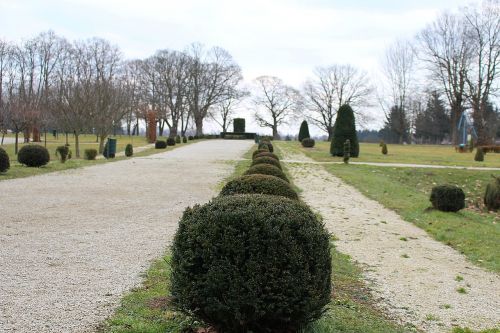 castle park shrubs away