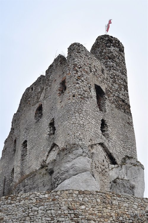 castle ruins  castle  history