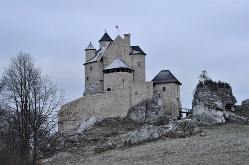 castle ruins  castle  history