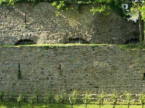 castle wall vineyard city blankenberg