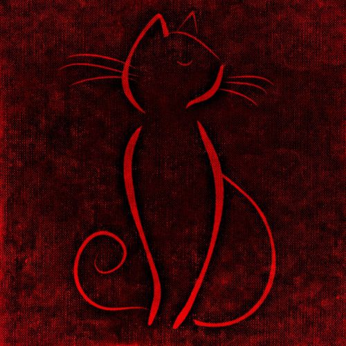 cat background image canvas