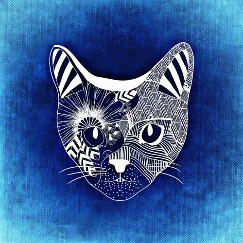 cat abstract background