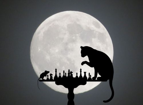 cat mouse silhouette
