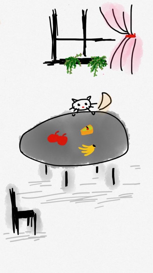 cat table food