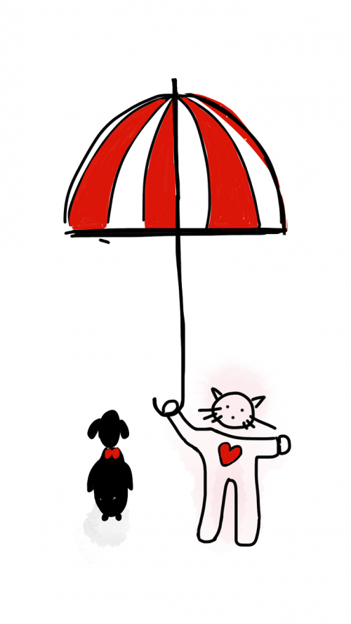 cat dog umbrella