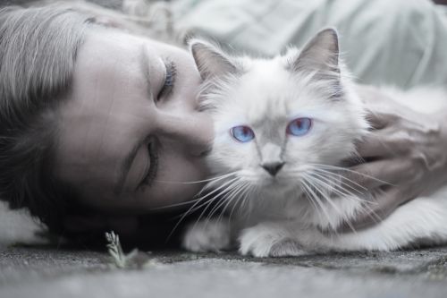 cat woman blue