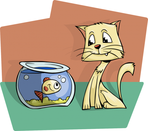 cat kitty aquarium