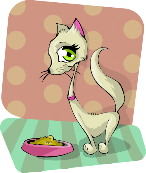 cat food eating