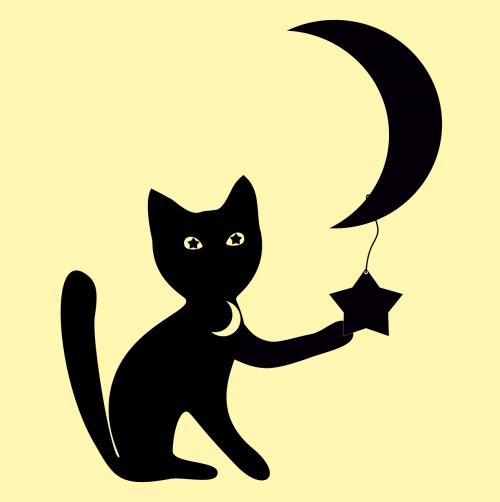 cat moon star