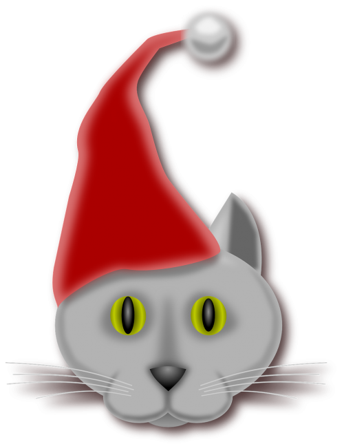 cat christmas elf