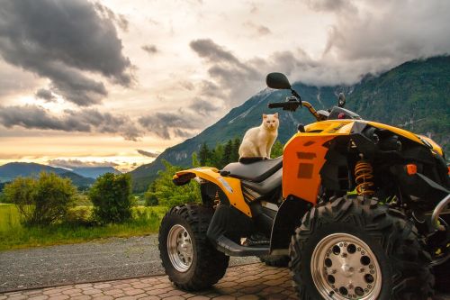 cat quad austria