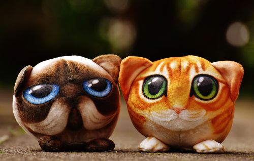 cat stuffed animals cute
