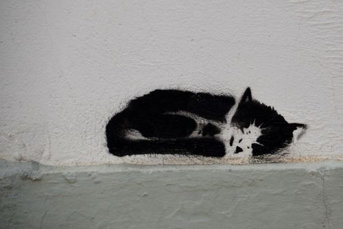 cat grafiti art