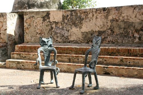 cat chairs san juan