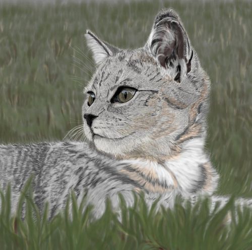 cat digital painting art