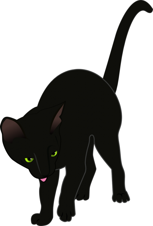 cat black vector