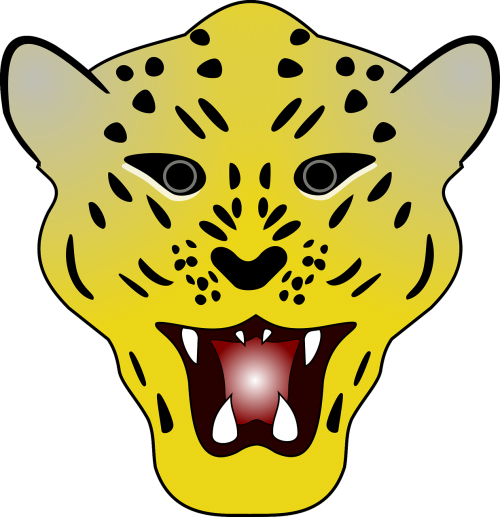 cat head leopard