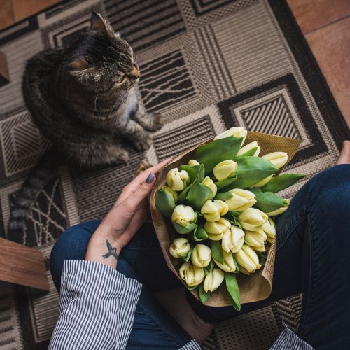 cat bouquet tulips