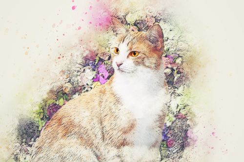 cat animal flowers