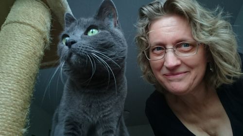 cat the russian blue cat and woman