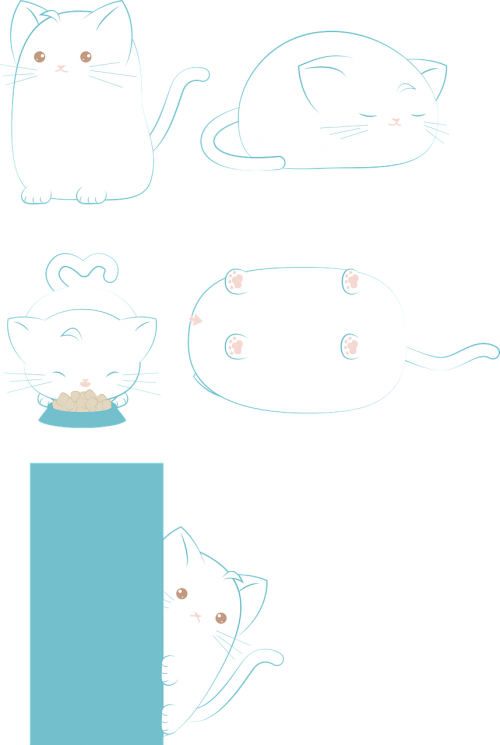 cat white cat white