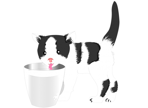 cat milk pet