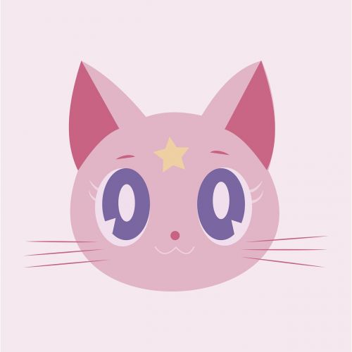cat rosa kitten