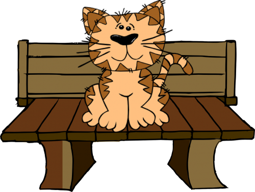 cat bench sit