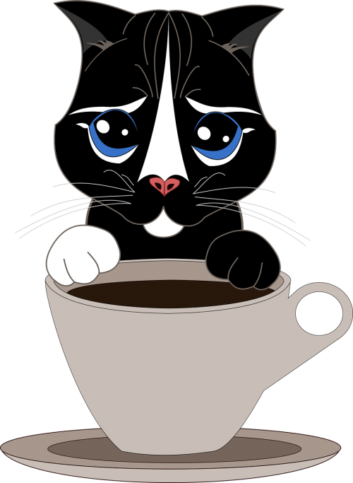 cat pet cup