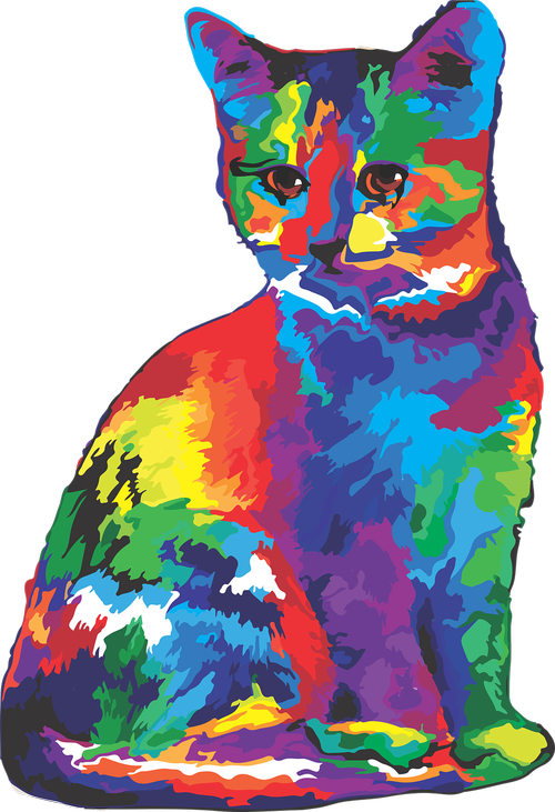 cat  rainbow  colorful