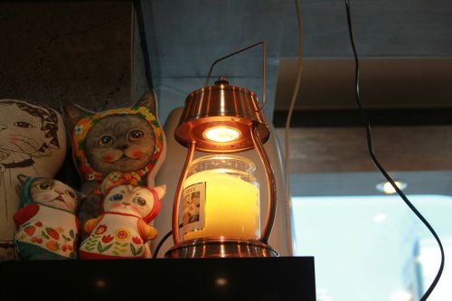 cat lantern bright