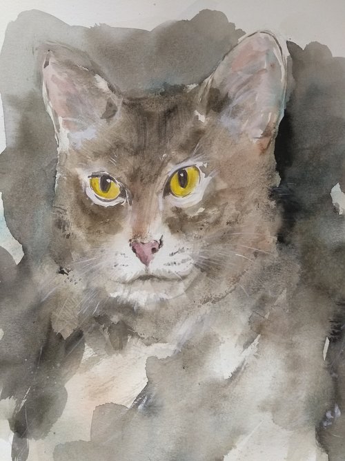 cat  watercolor  art