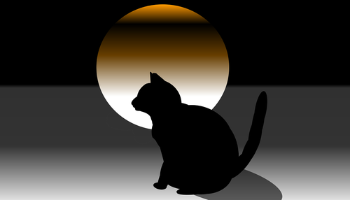 cat  dark  landscape