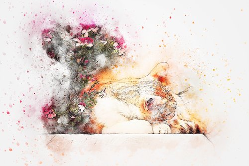 cat  sleeping  flowers