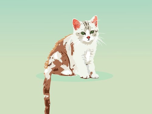 cat  kitten  portrait