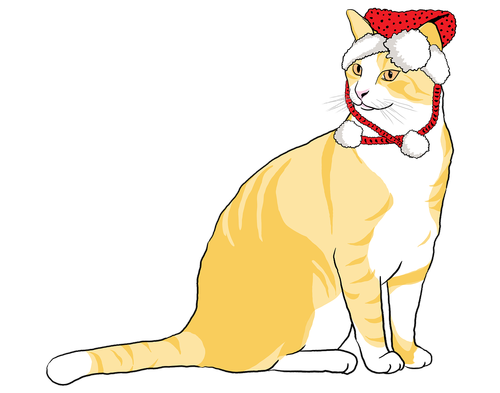 cat  christmas cat  animal