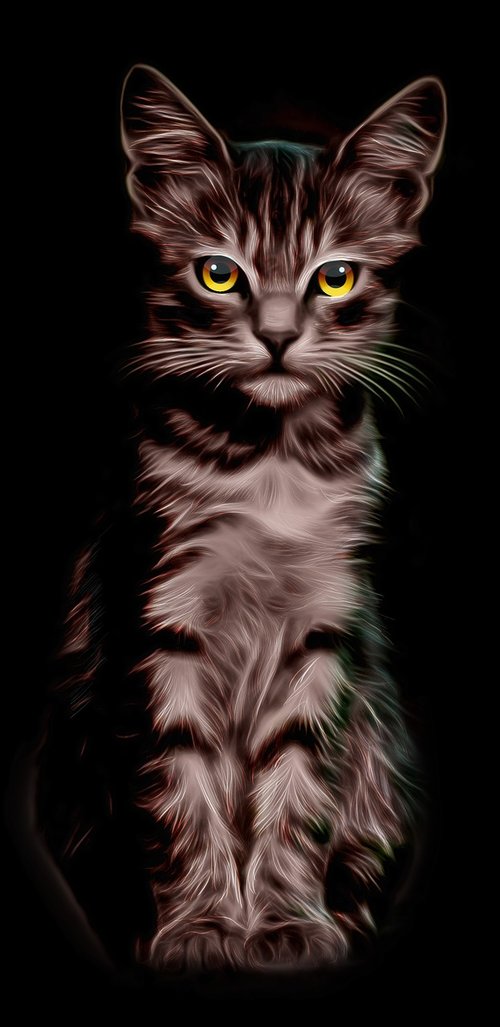 cat  illustration  yellow eyes