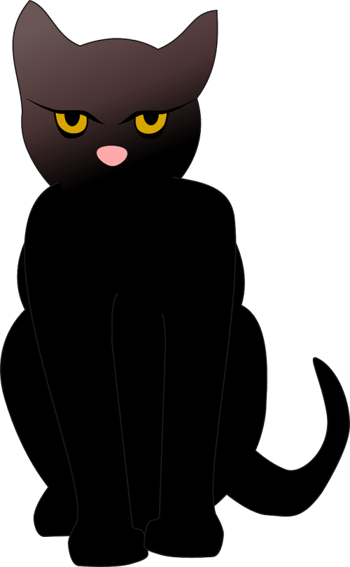 cat black pet