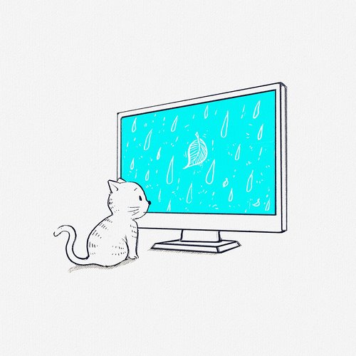cat  cute  tv
