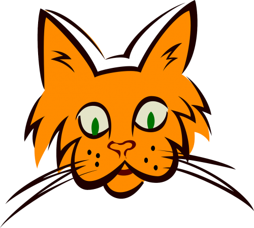 cat face orange