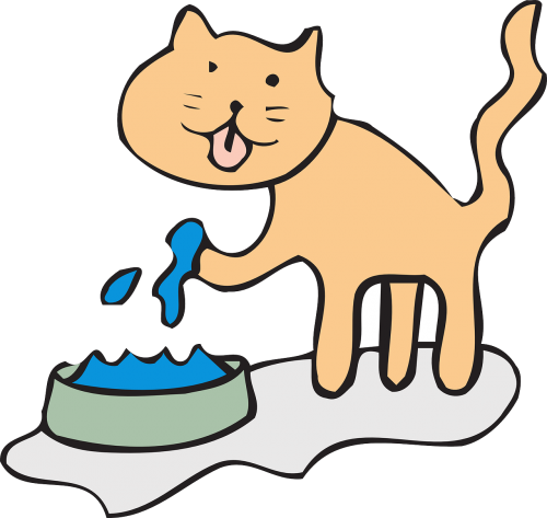 cat water bowl