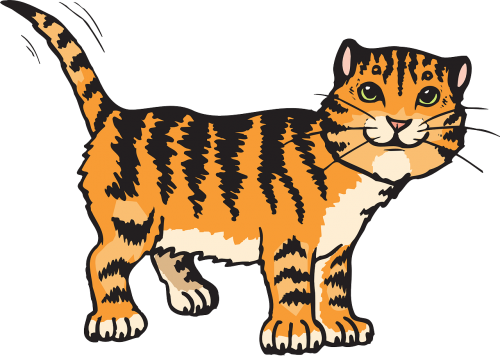 cat stripes tiger