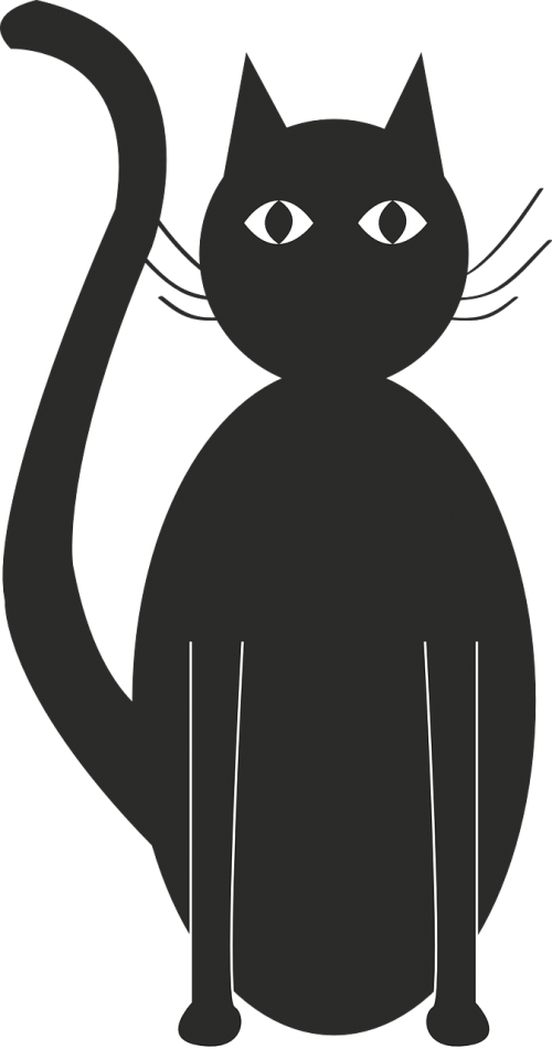 cat black silhouette